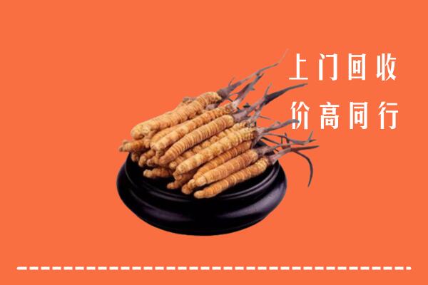 高价求购：茫崖回收散虫草