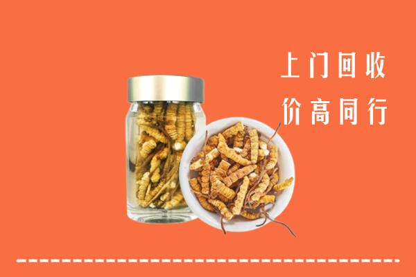 茫崖高价回收冬虫夏草